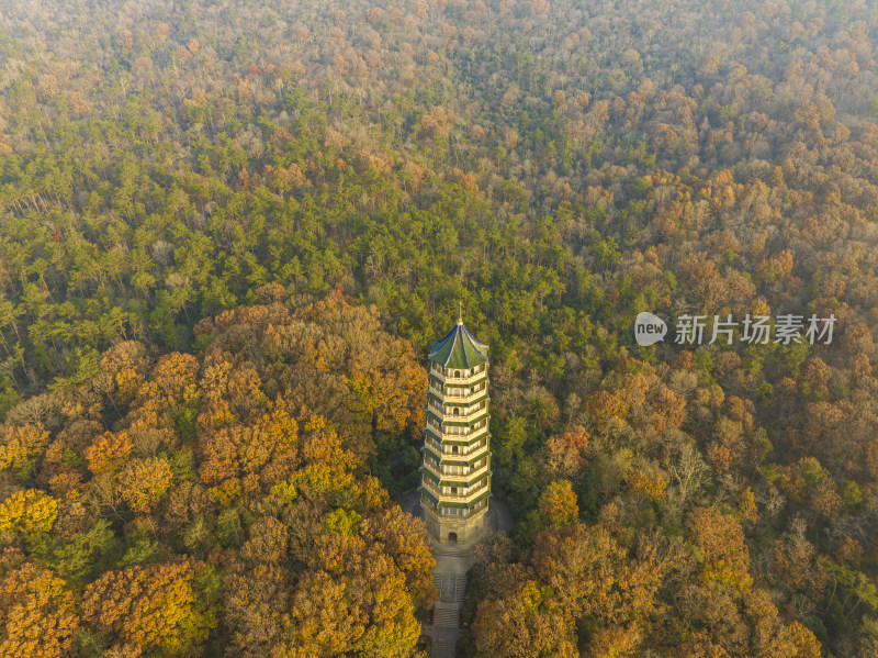 航拍秋季南京中山陵风景区灵谷寺