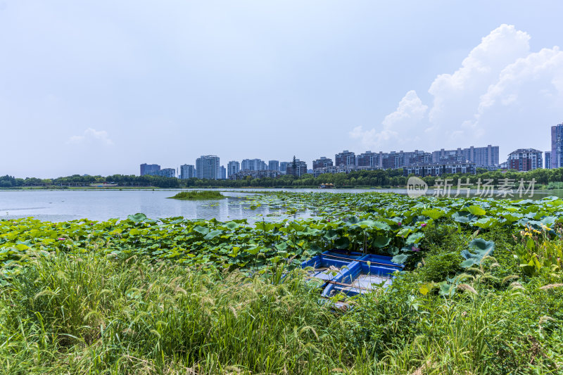 武汉洪山区南湖幸福湾公园风景