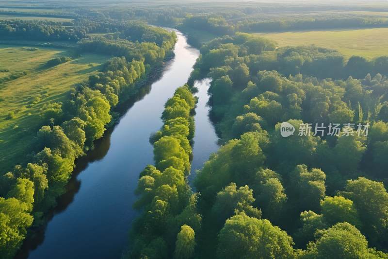 生态背景早晨河流树木