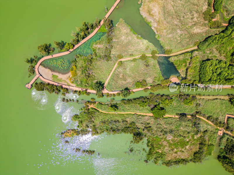 航拍昆明滇池捞鱼河湿地公园景观