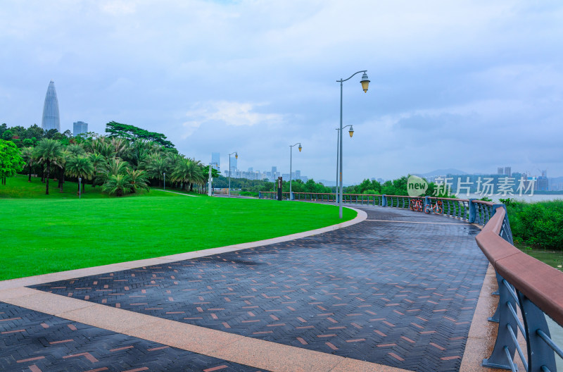 深圳湾公园滨海园林绿色草坪休闲步道