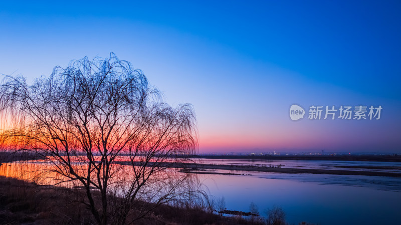 河边垂柳清晨阳光故乡背景