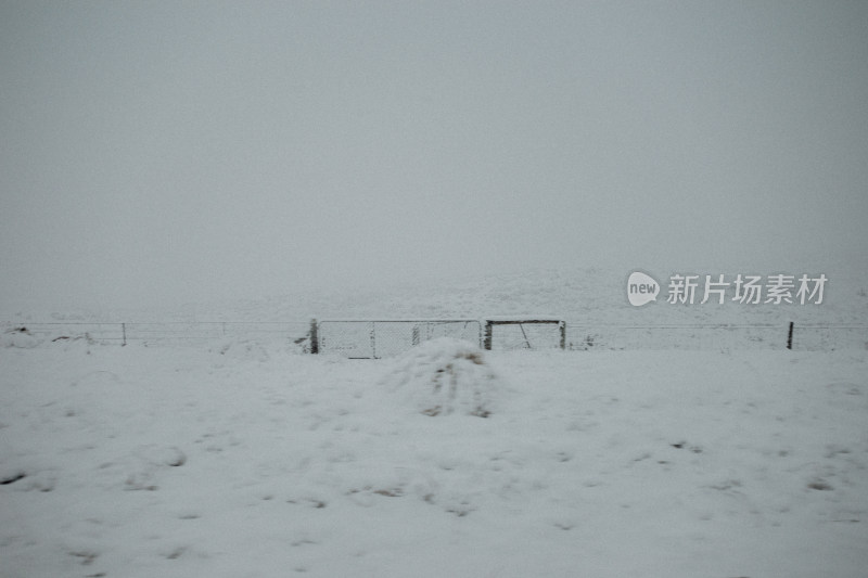 蒂卡波湖农场雪景