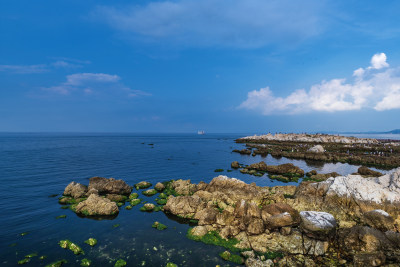 烟台养马岛果冻海