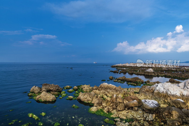 烟台养马岛果冻海