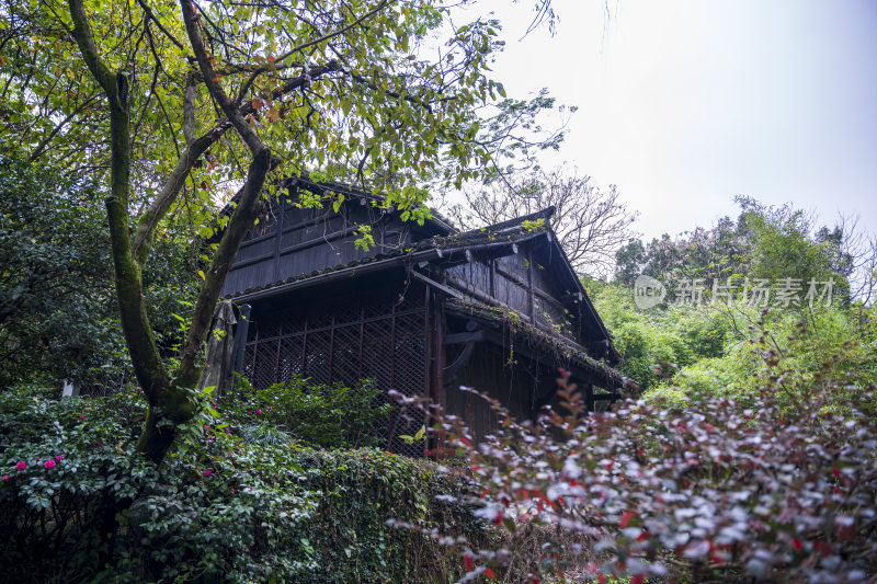 杭州三台山浙商总会风景