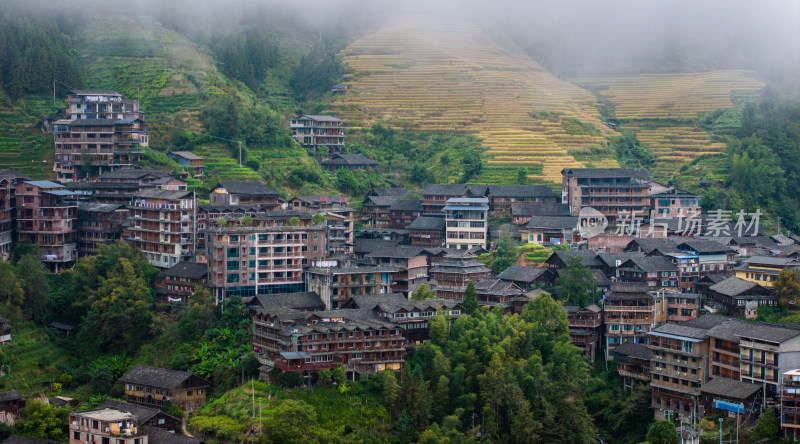 广西桂林龙脊梯田秋收稻田航拍风景