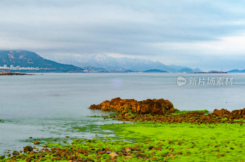 中国青岛小麦岛风光