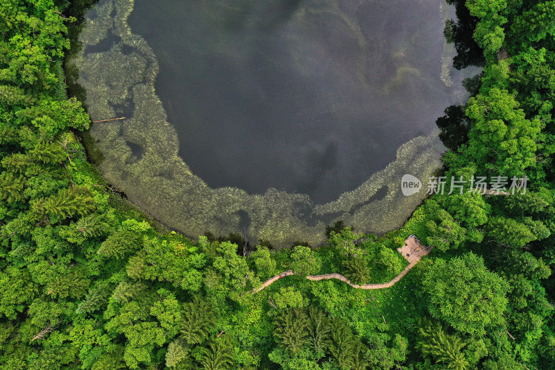 长白山高山花园王池风光