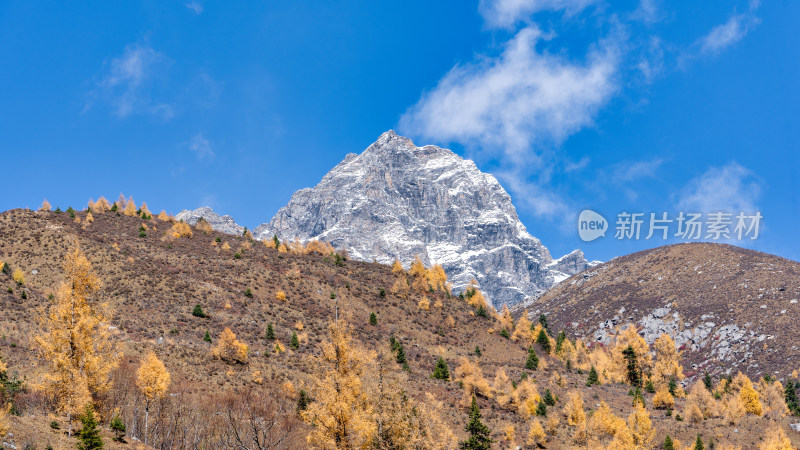 四川四姑娘山景区双桥沟秋天的山峰