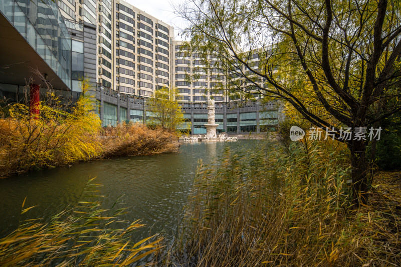 现代建筑旁的秋日水景