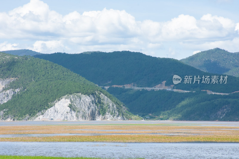 高原草原