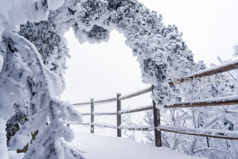 冬天大雪景区步道栏杆