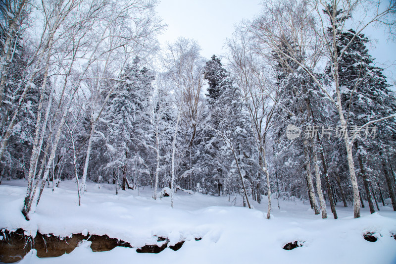 黑龙江 双峰林场 雪乡