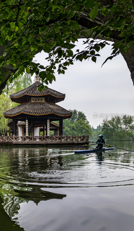 杭州西湖茅家埠黛色参天自然风景景观