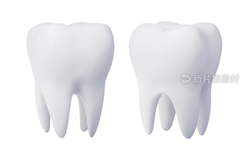 白色牙齿模型3D渲染