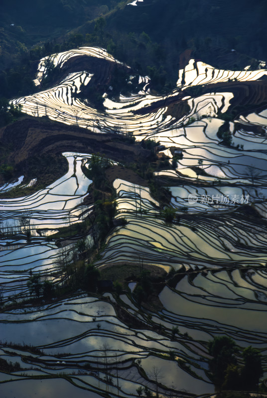 元阳梯田