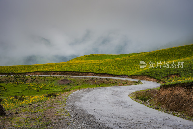 青翠山峦下的广阔草原