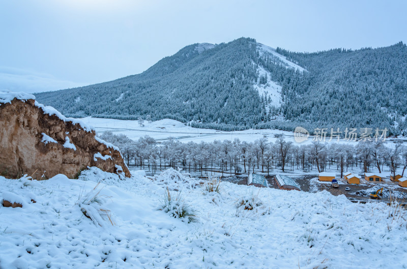 青海海北藏族自治州祁连卓尔山森林雪景木屋