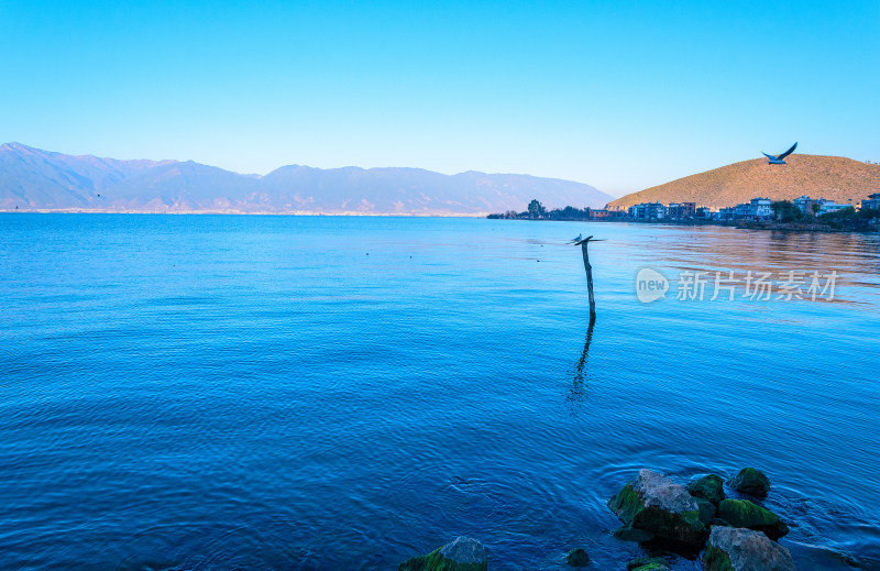 云南大理洱海清晨湖泊自然风光