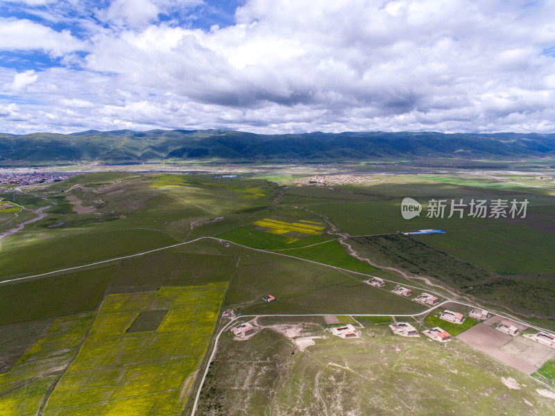 藏地乡村民居油菜花航拍全景图