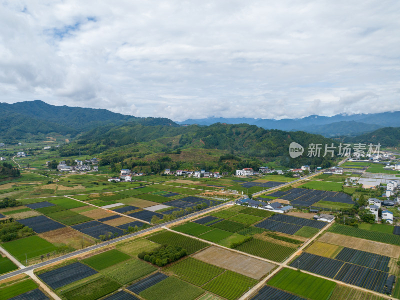 航拍武夷山绿色农田与茶园