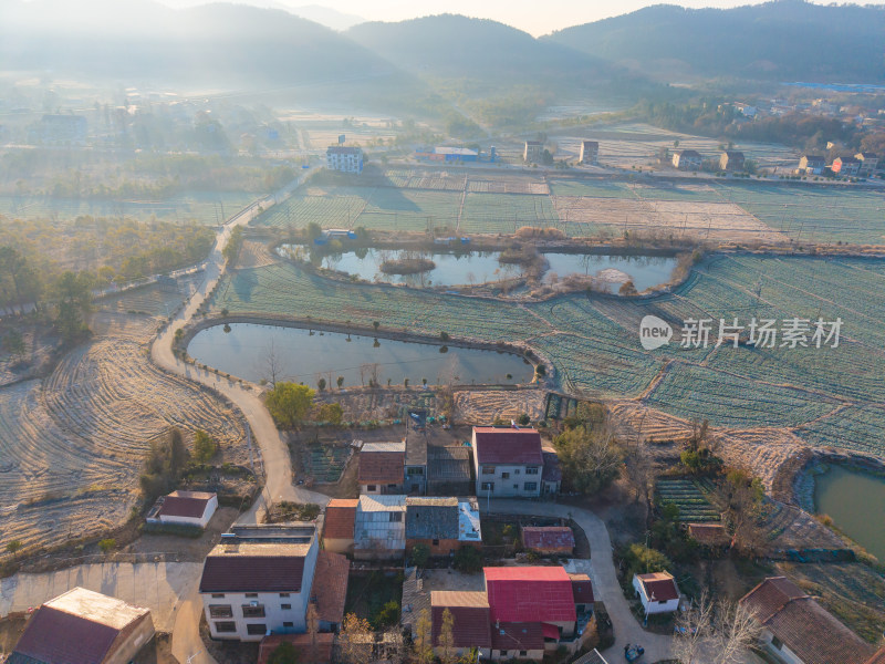 乡村鸟瞰全景