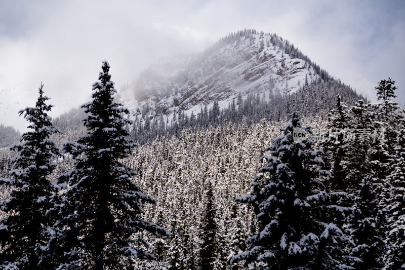 冰雪覆盖的落基山