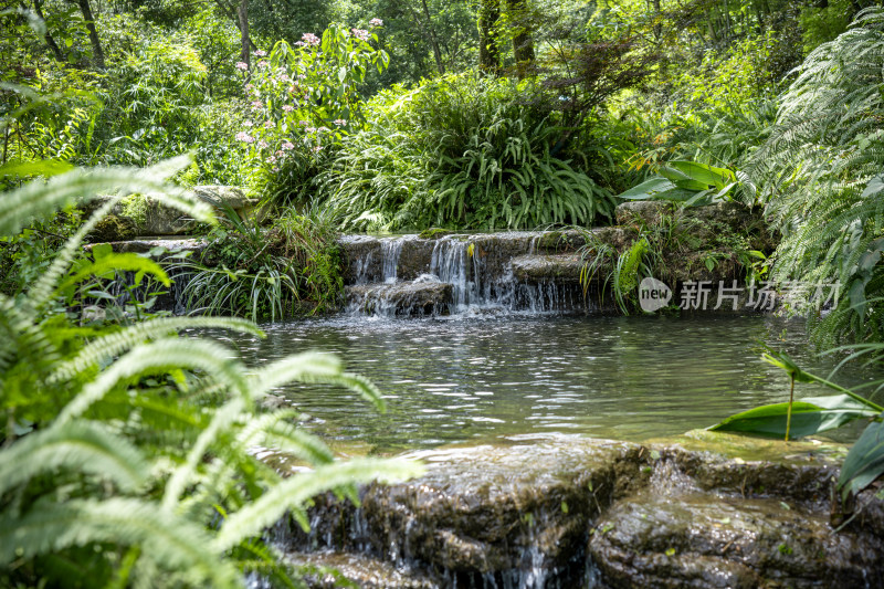 四川都江堰小溪流水