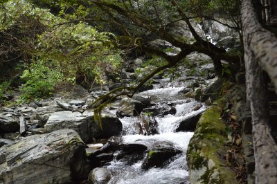 古村落婺源徽派建筑古建筑古遗址