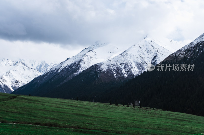 新疆夏塔雪山草原绝美震撼风光