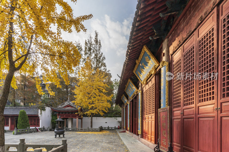 杭州上城区孔庙古园林风景