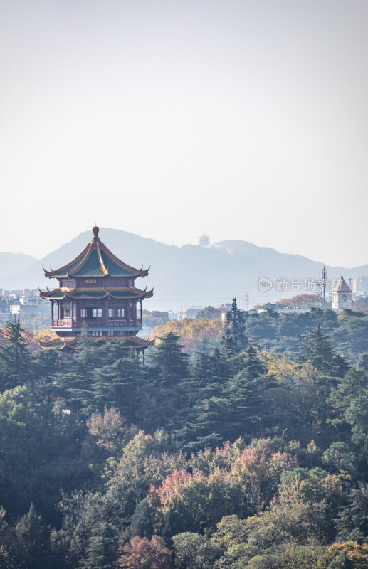 南京雨花台城市山林景观全景