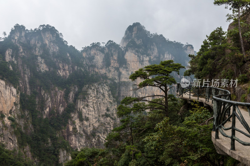 云海中的大明山