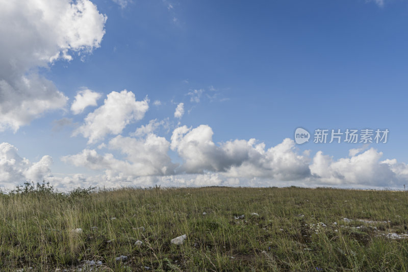 草地蓝天白云自然风景图