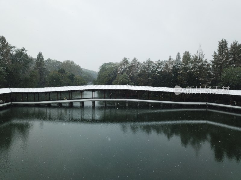 江南的第一场雪，摄于西湖浴鹄湾