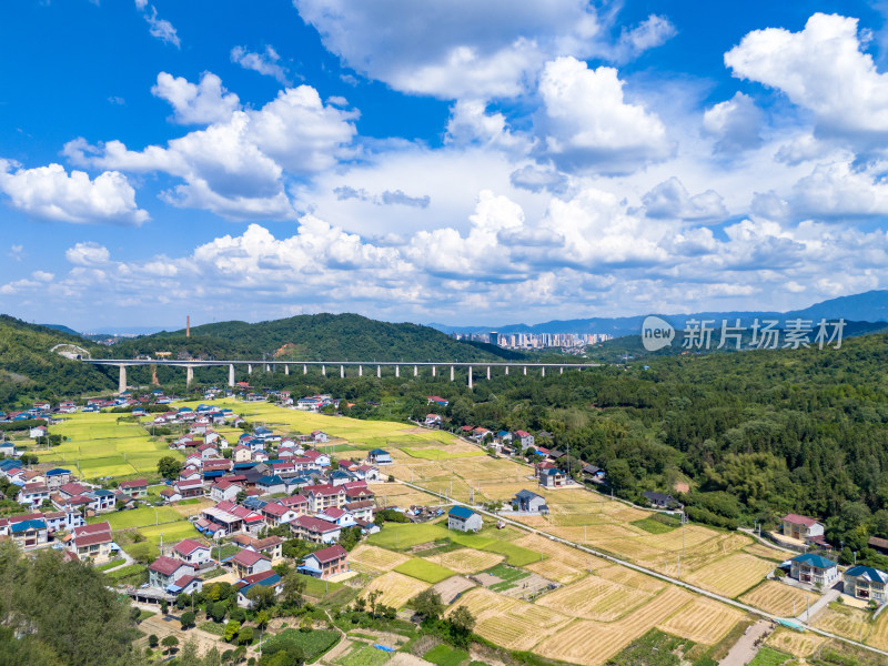 秋收美丽乡村田园航拍图