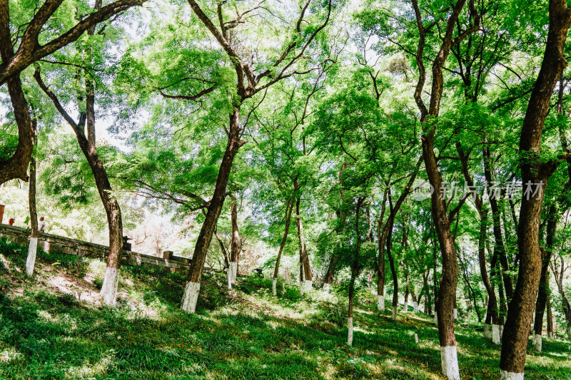 襄阳古隆中景区