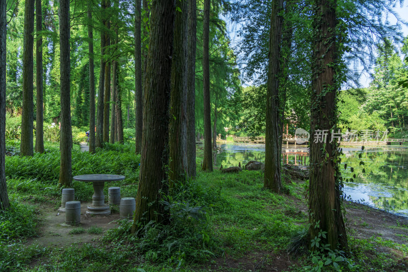 武汉中国科学院武汉植物园风光