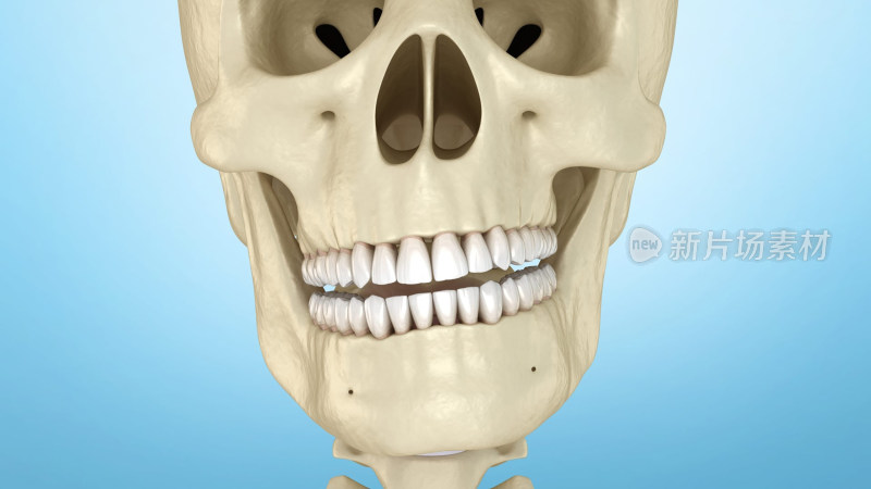 口腔矫正牙齿正畸牙套口腔整形