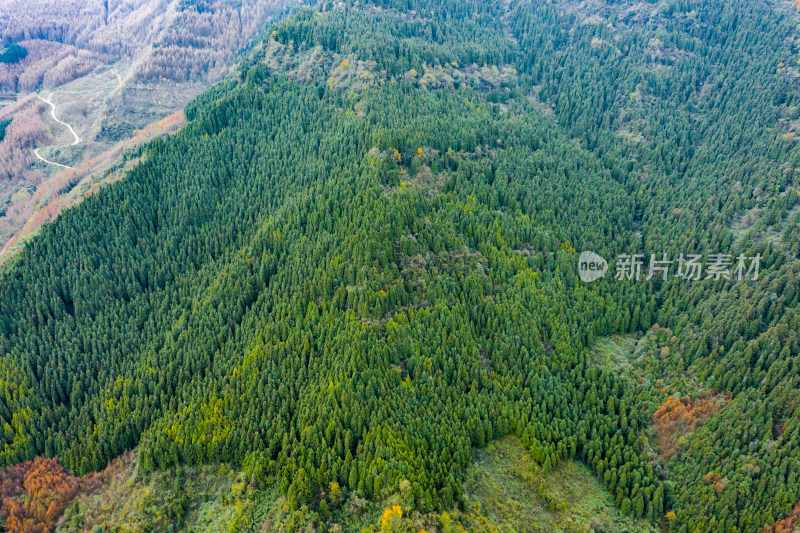 秋日山林的色彩交响彩林风光