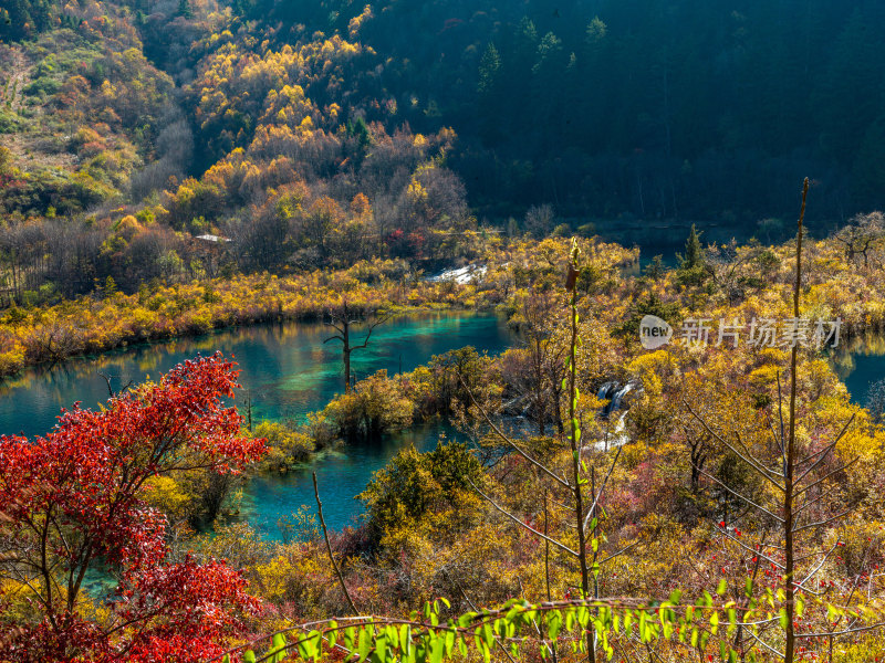 九寨沟秋景