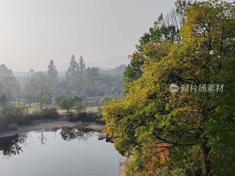 雾气弥漫的树林边湖水景色