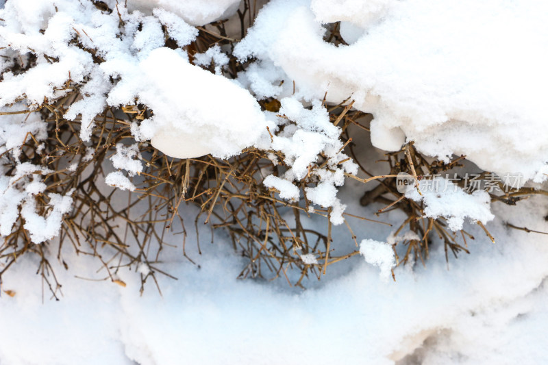 刚下完雪，厚厚的积雪