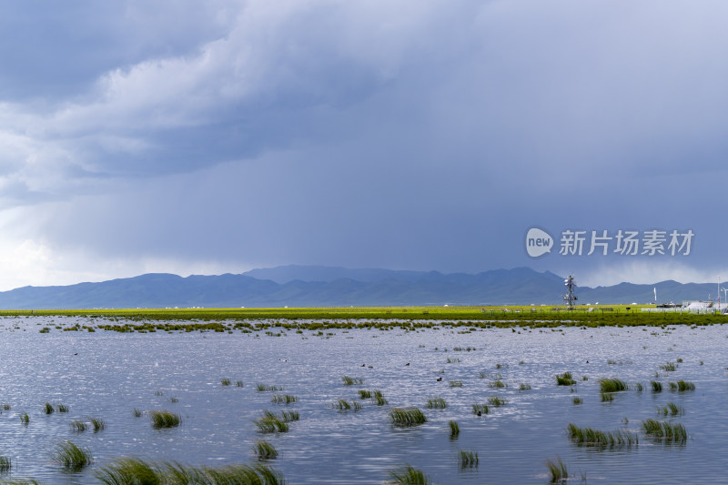 夏季长焦视角下的若尔盖花湖景区湿地风光