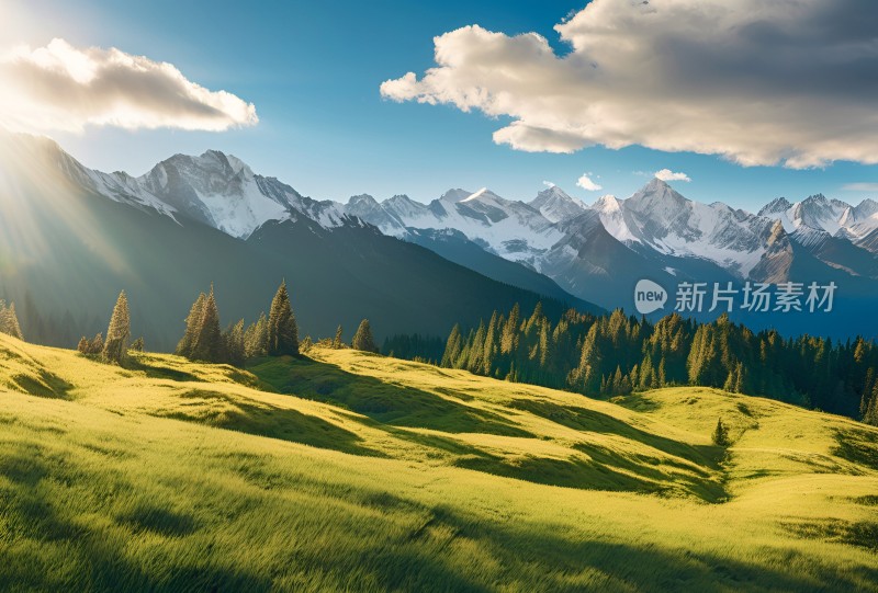 雪山高原草原森林风景