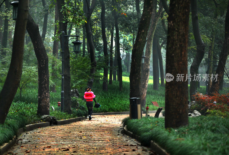 杭州太子湾公园秋天下雨流水石头红叶