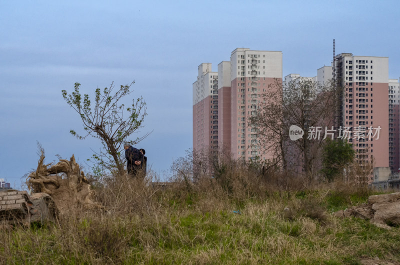 城市边缘的高楼和荒地