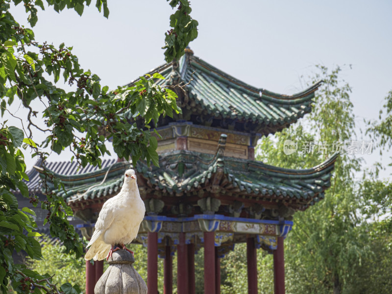 河南省开封市天波杨府