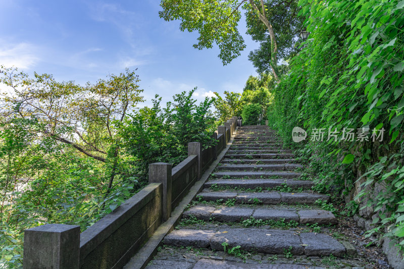 杭州吴山景区伍公庙风景